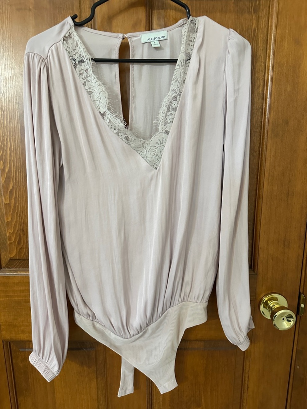 Allison Joy Dusty Blush Lace V-Neck Long Sleeve Bodysuit